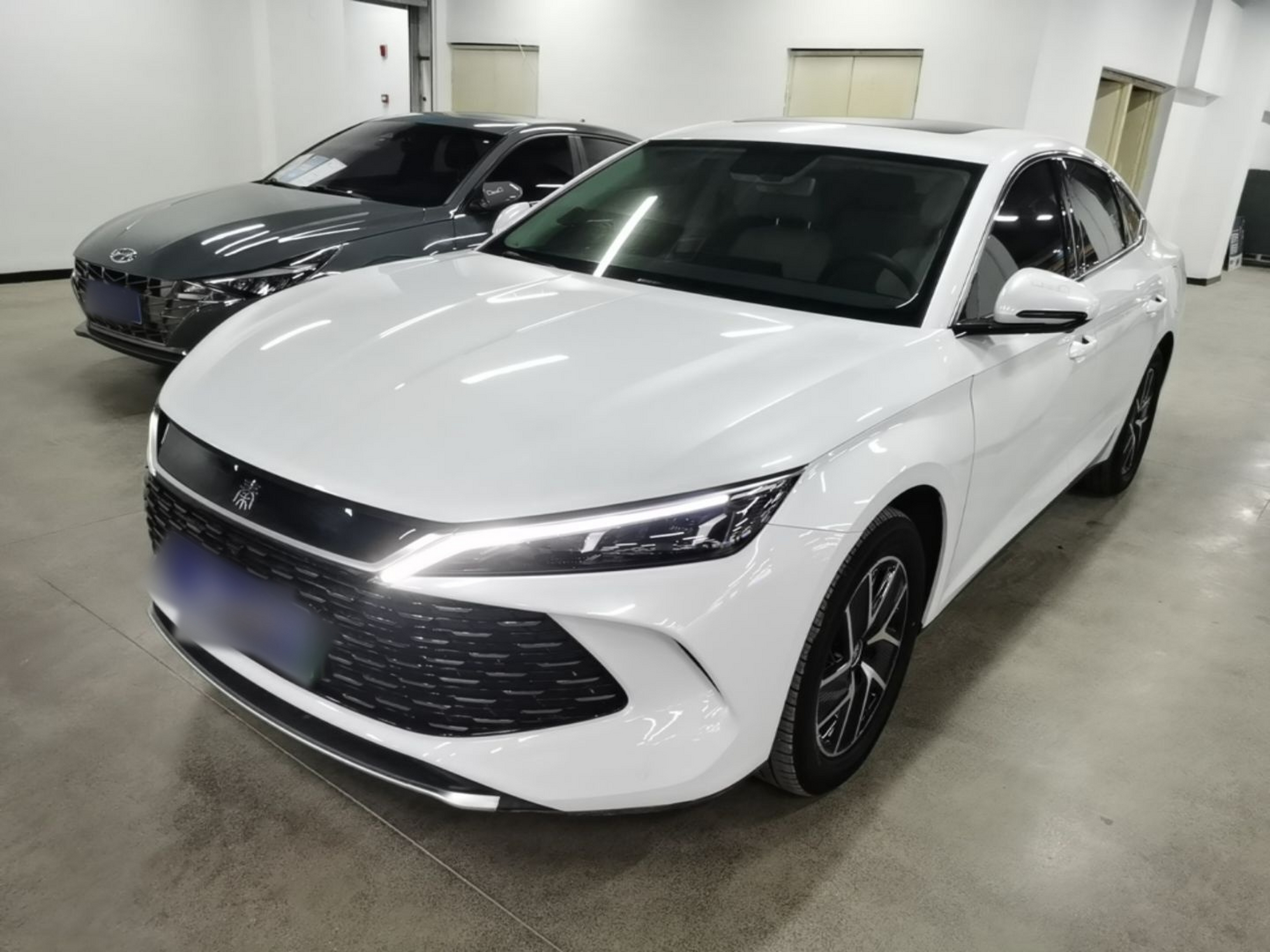 Under Front Bumper