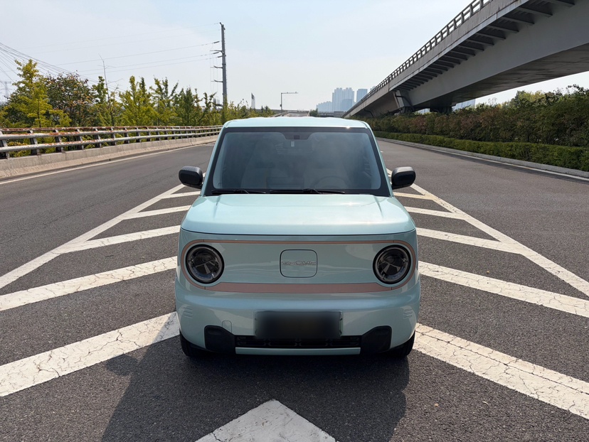 Geely Galaxy Panda 2024 Panda Mini 200km Endurance Bear — снимка 16