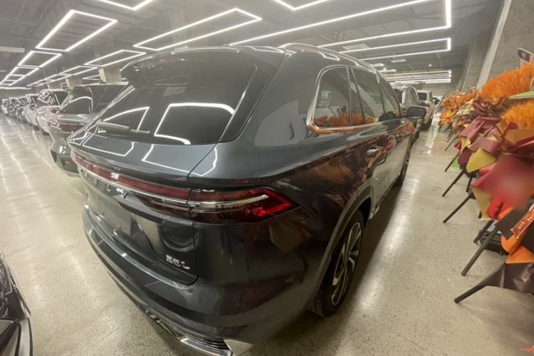 Used Geely Auto Monjaro L 2024 2.0TD High-Power Automatic Two-Wheel Drive Skyline Edition
