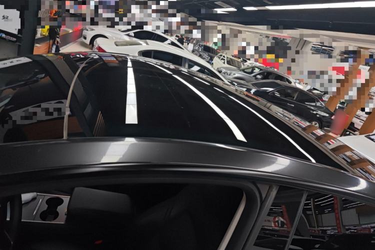 Used Tesla Model Y 2021 Standard Range Rear-Wheel Drive Version Roof