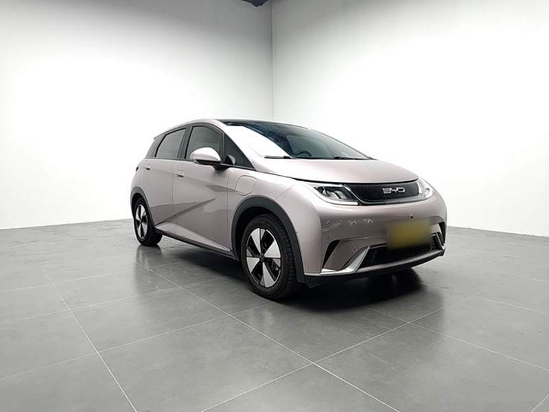 Used BYD Dolphin 2023 420 km Fashion Edition — 27