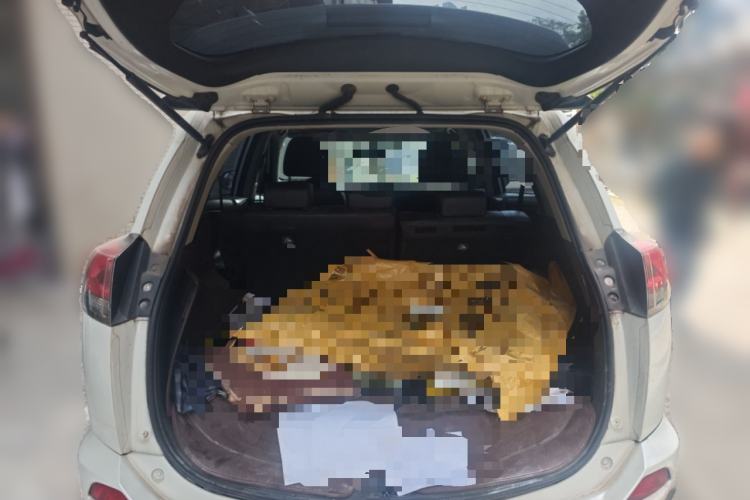 Used Toyota RAV4 2016 2.0L CVT Two-Wheel Drive Smart Edition China V Standard Trunk