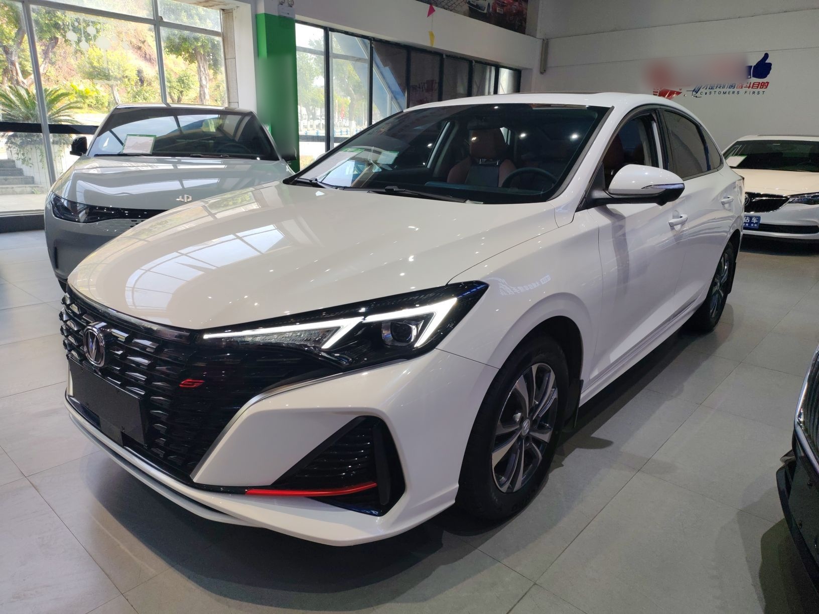 Parte inferior delantera