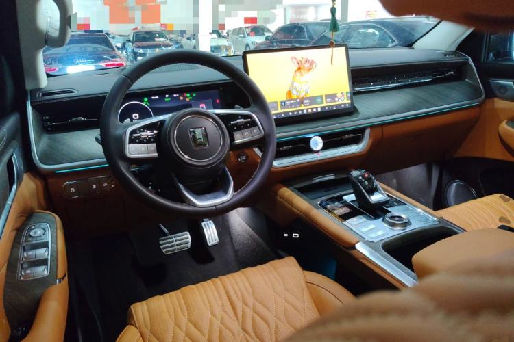 Used Tank 500 New Energy 2024 Hi4-T
