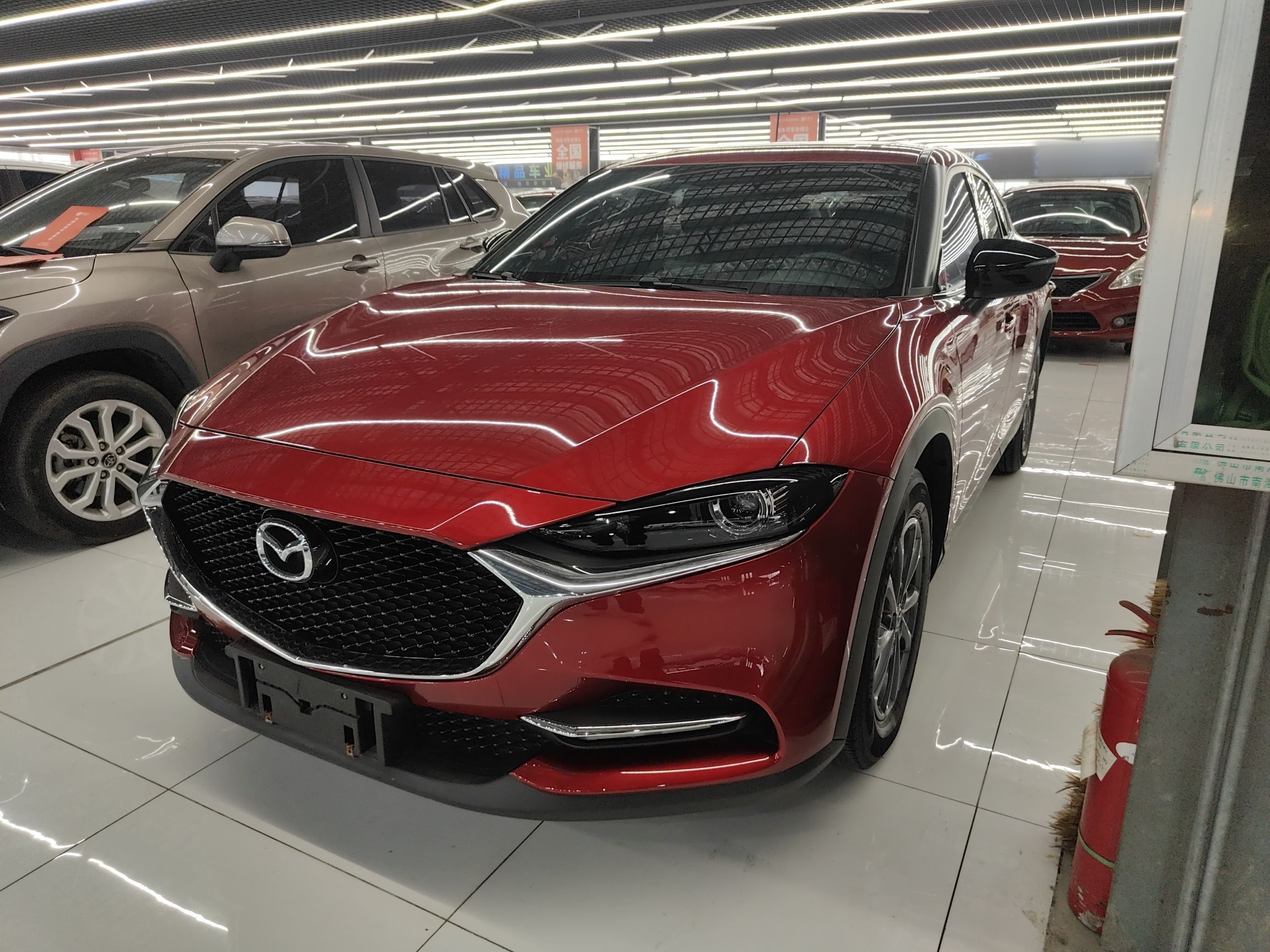 Parte inferior delantera