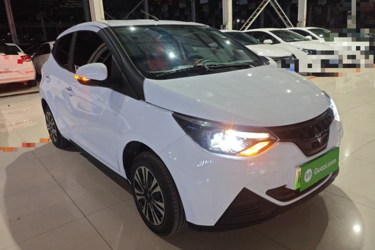 Used JMEV Xiao Qilin 2024 201km Comfort Version