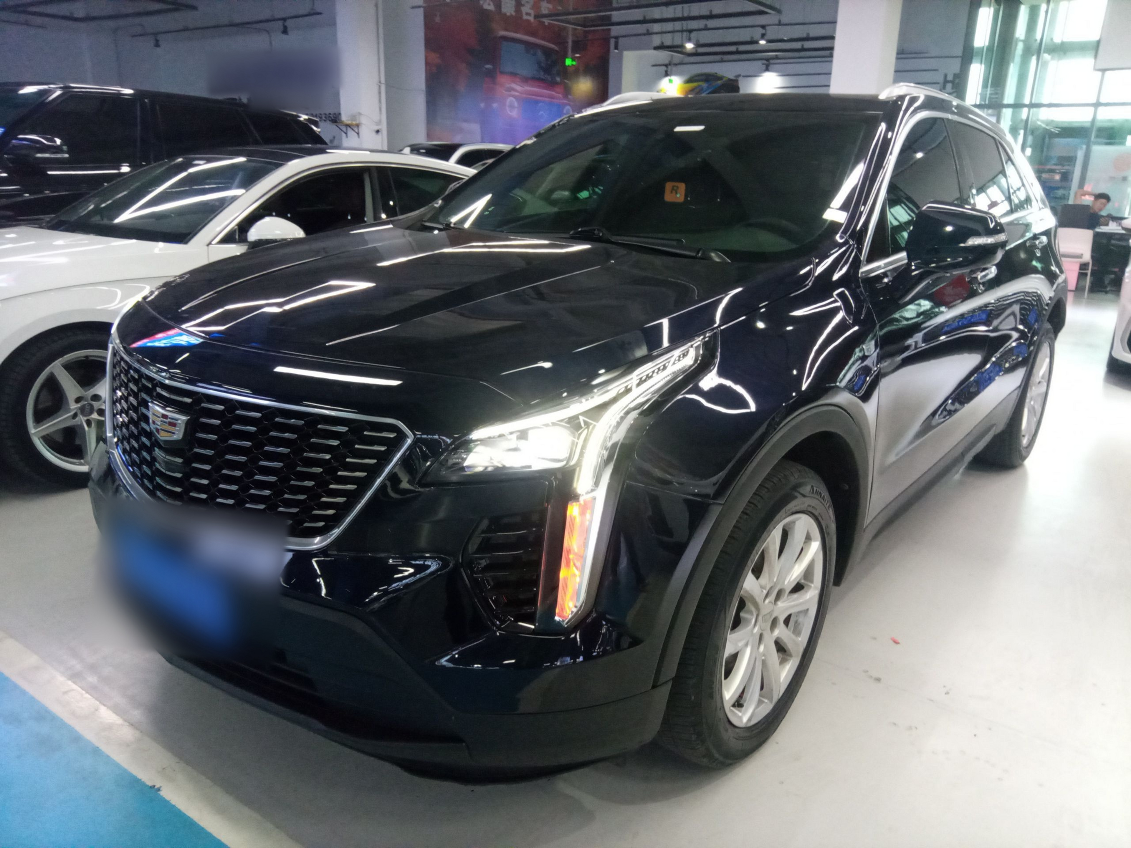 Parte inferior delantera