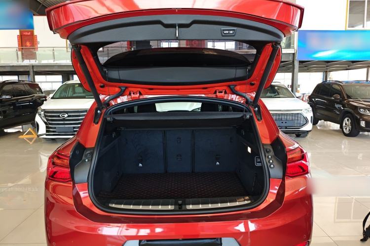 Used BMW X2 2019 sDrive25i Luxury Model with M Off-Road Package China VI Emission Standard