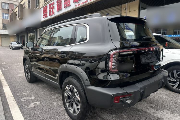 Used Haval DARGO 2024 2.0T DCT Chinese Rural Dog Edition