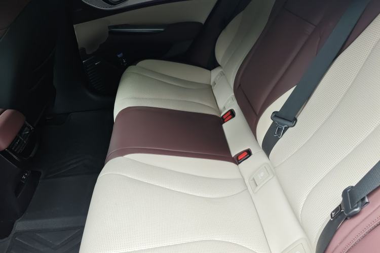 Used BYD Seal 2023 DM-i 1.5T 121km Prestige Model Left Rear Seat