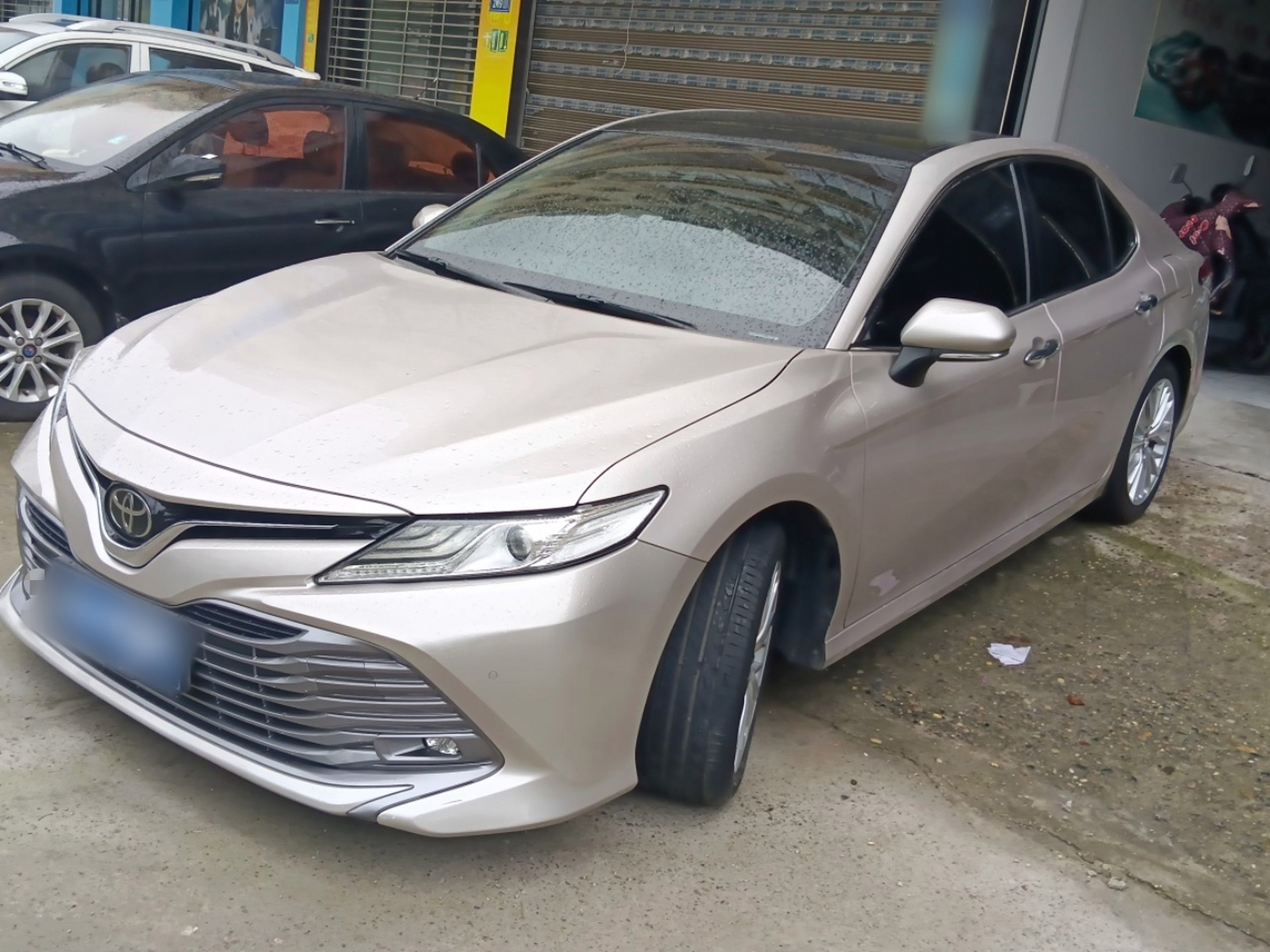 Parte inferior delantera