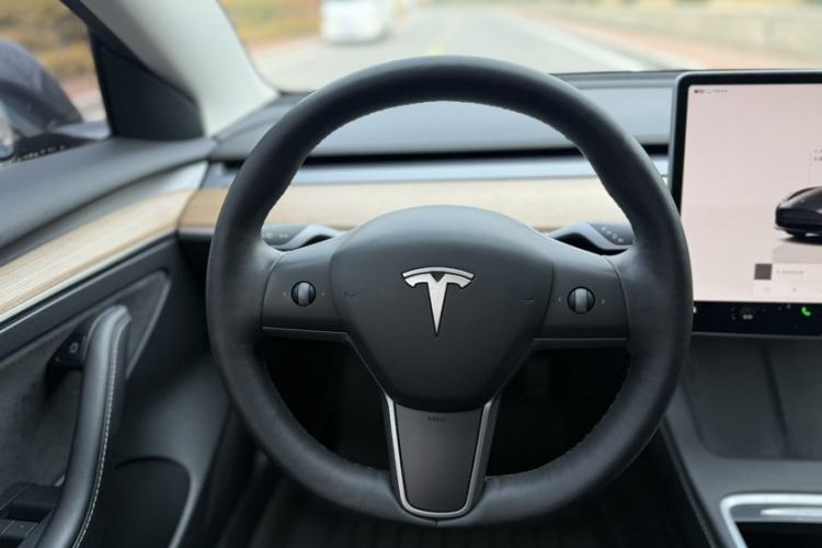 Used Tesla Model 3 2022 Rear-Wheel-Drive Version