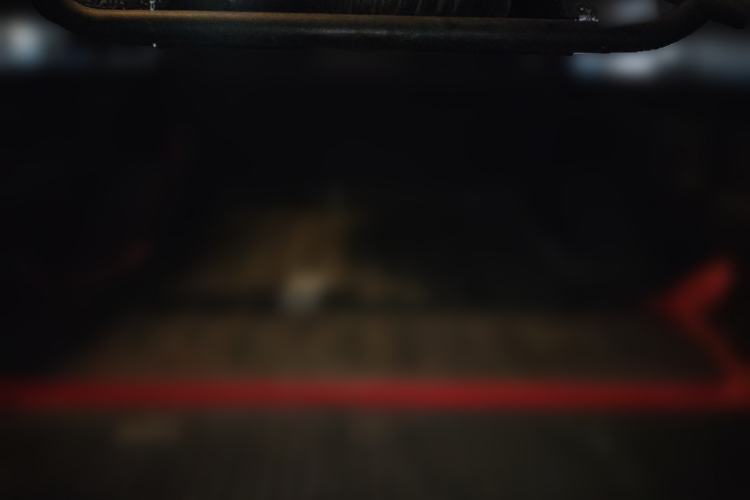 Used Ford F-150 Raptor 2014 6.2L U.S. Version Trunk