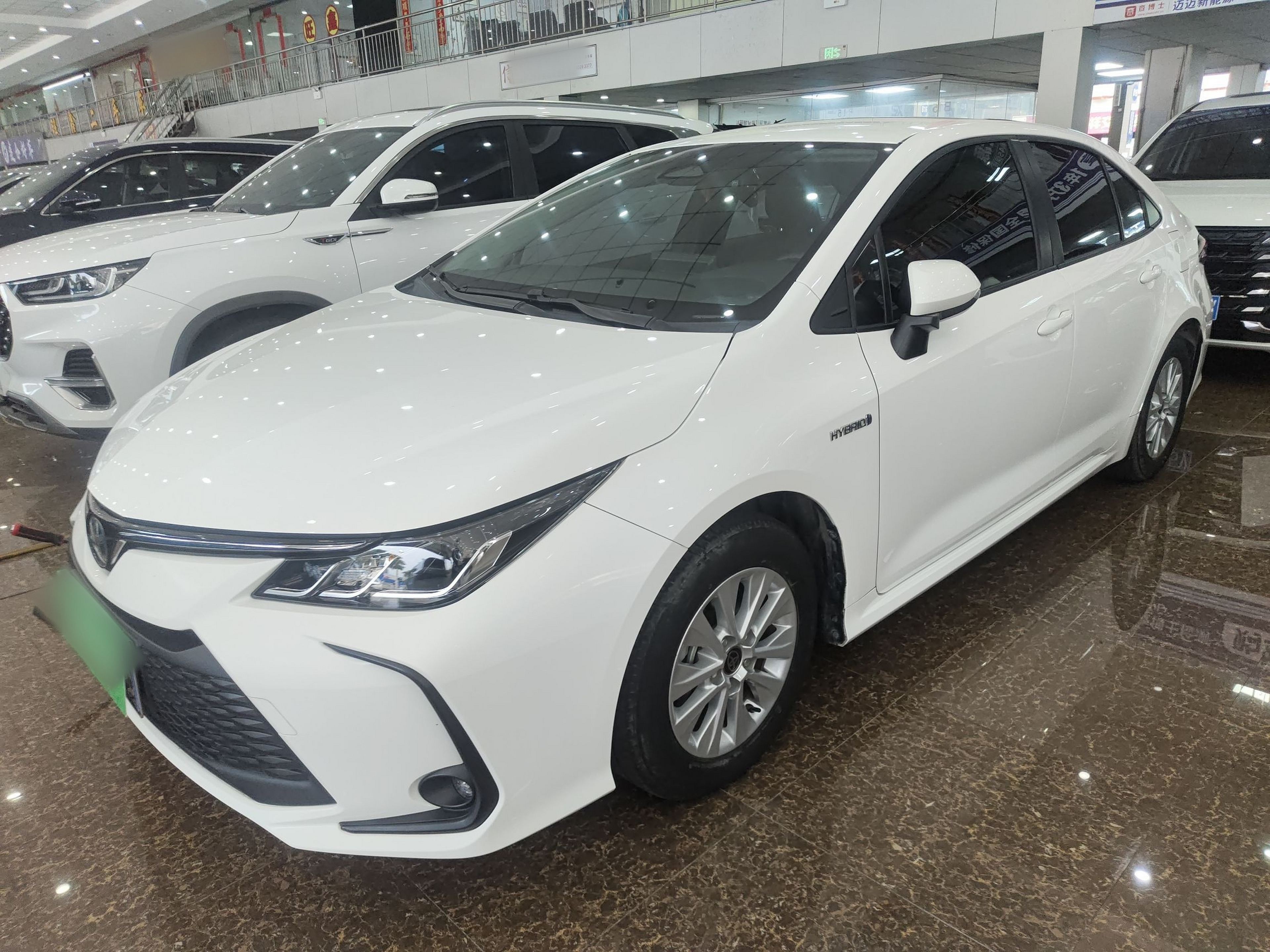 Parte inferior delantera