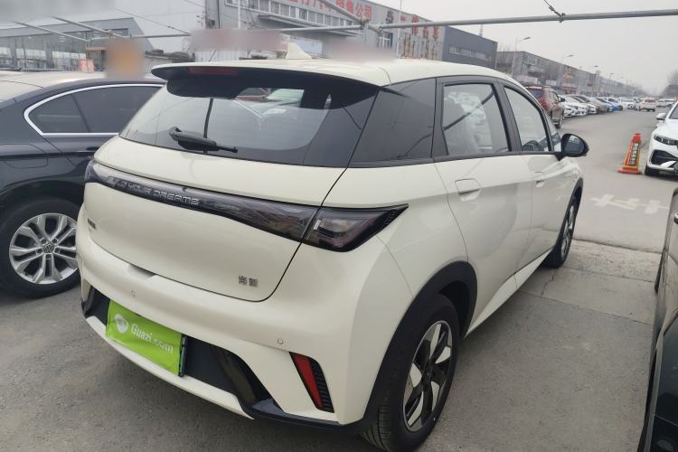 Used BYD Dolphin 2025 420km Free Edition