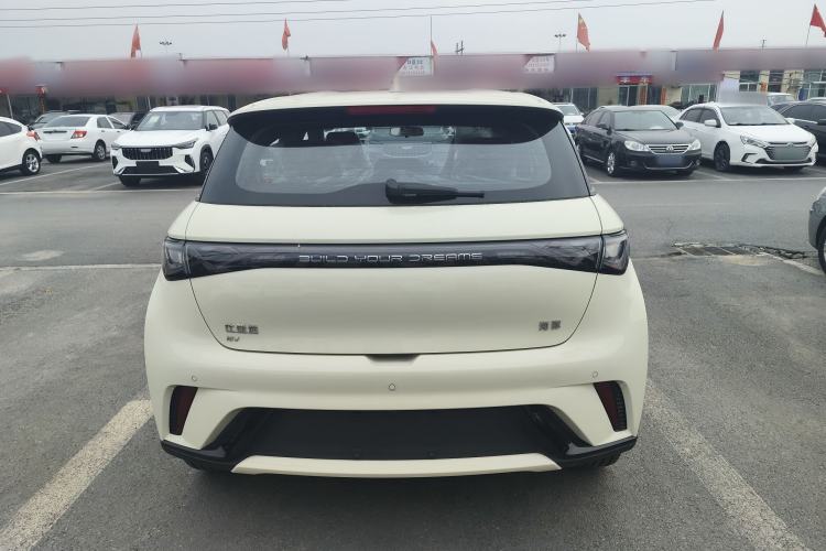 Used BYD Dolphin 2025 420km Free Edition
