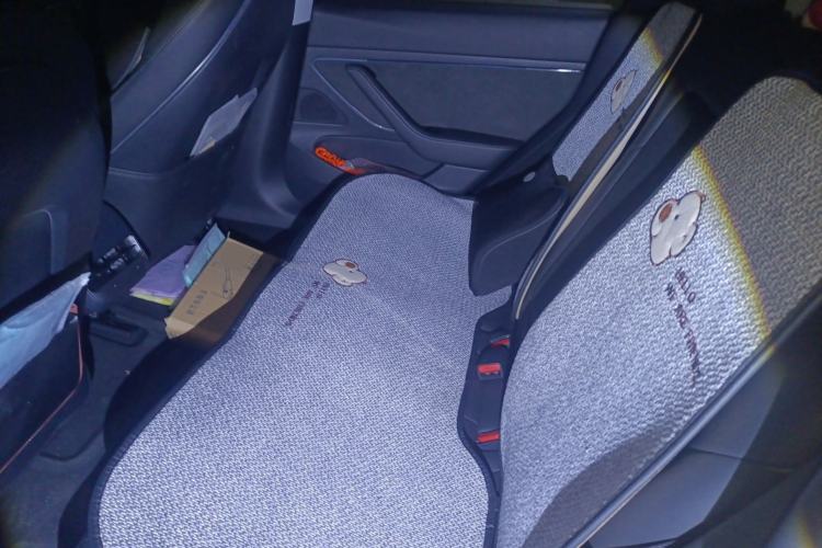 Used Tesla Model 3 2020 Revised Version Standard Range Rear-Wheel Drive – Upgraded Edition