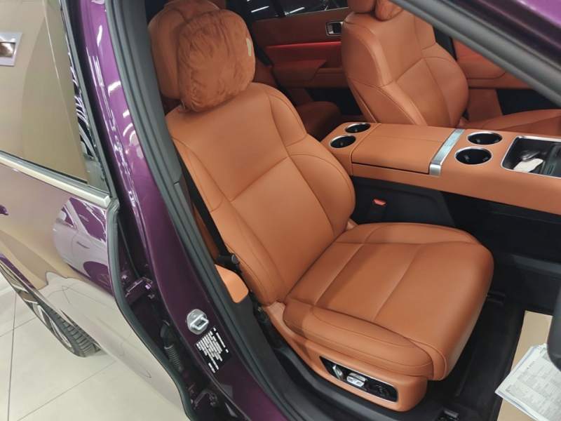 Used Li Auto L9 2022 Max model — 24