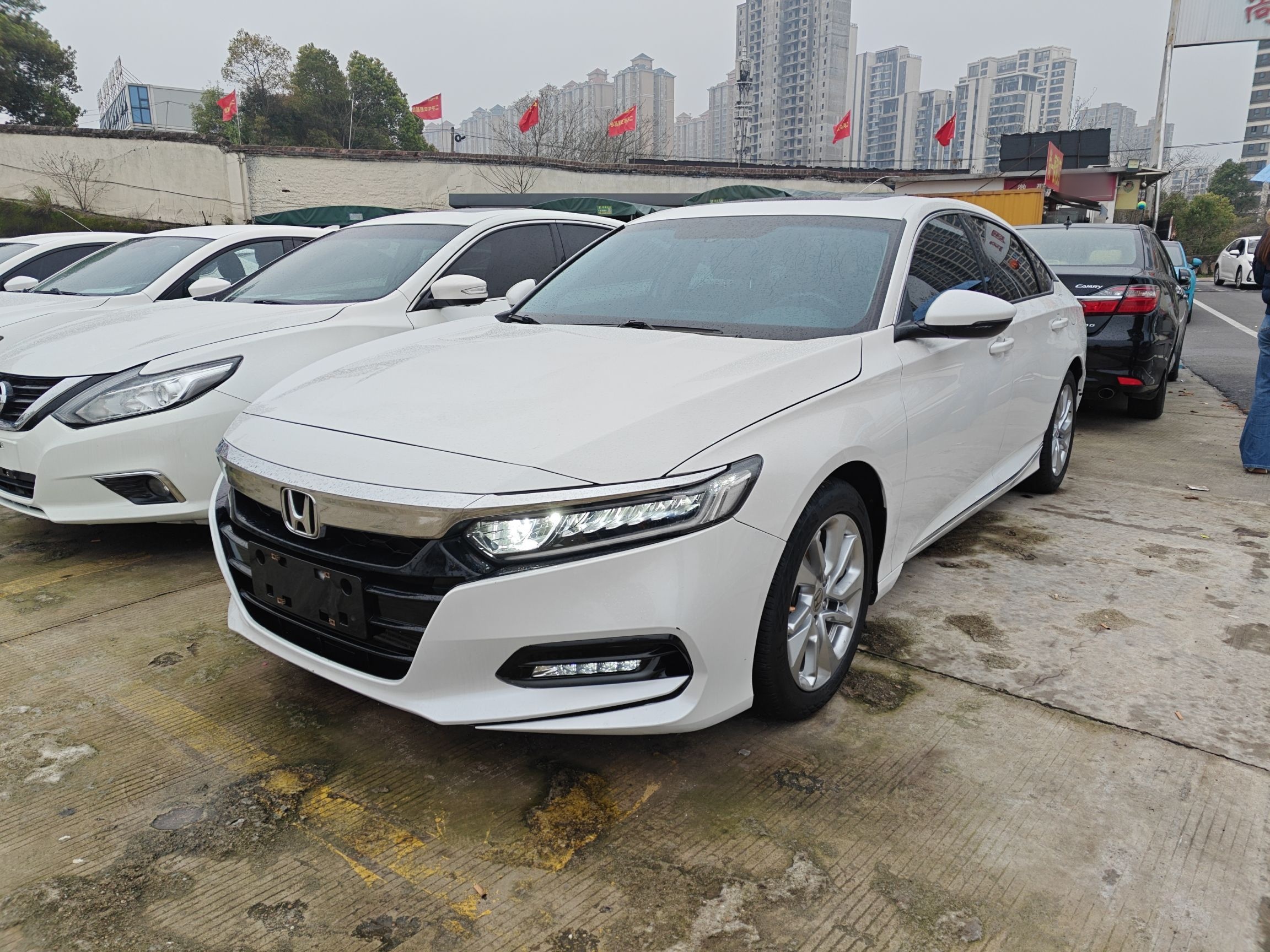 Parte inferior delantera