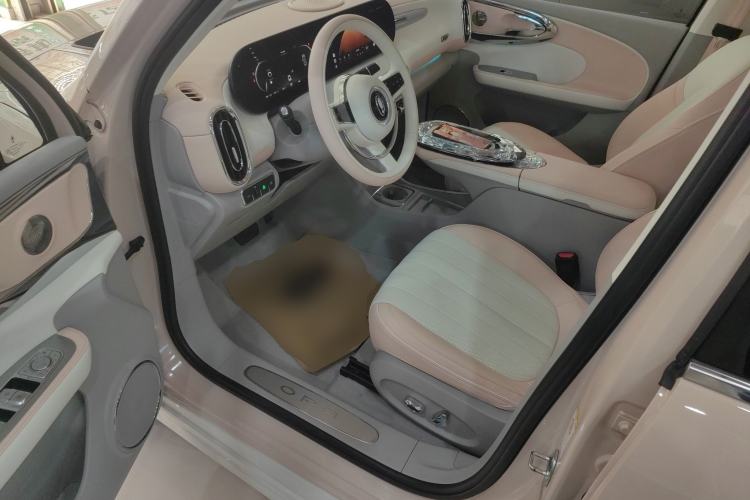 Used ORA Ballet Cat 2023 401 km Luxury Version
