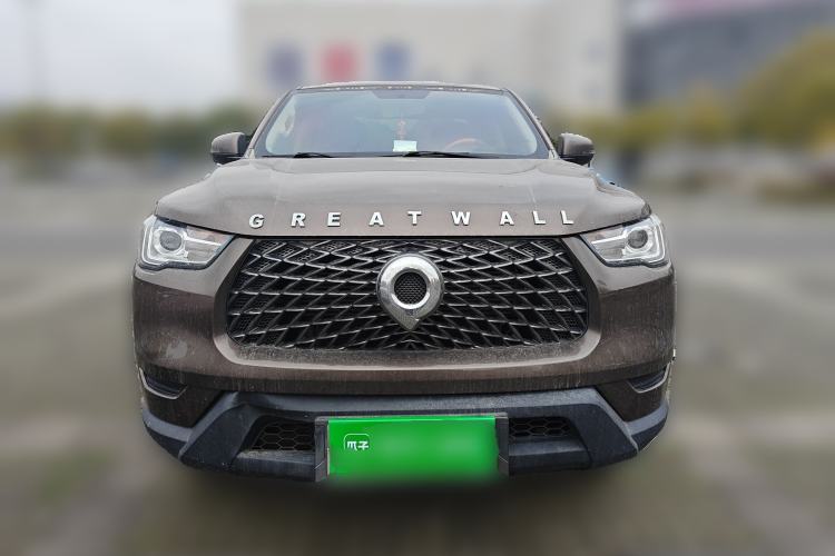Used Great Wall Poer 2021 2.0T Commercial Version Manual Diesel Two-Wheel Drive Elite Long-Box GW4D20M
