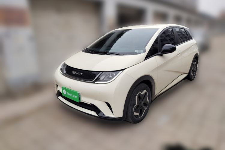 Used BYD Dolphin 2021 405 km Free Version
