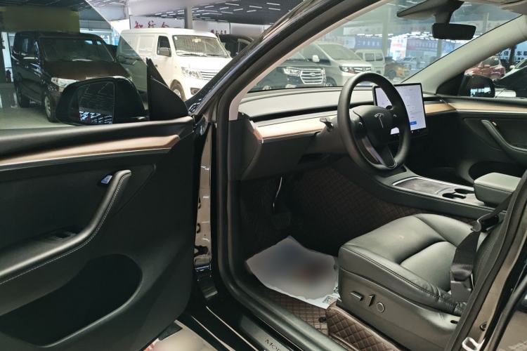 Used Tesla Model Y 2021 Standard Range Rear-Wheel Drive Version