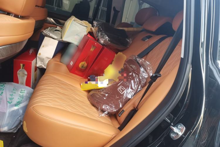 Used Tank 500 New Energy 2025 Hi4-Z