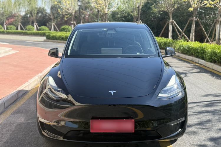 Used Tesla Model Y 2021 Long-Range All-Wheel-Drive Version