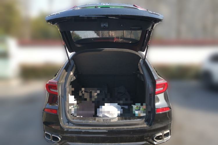 Used Honda Avancier 2020 370TURBO Four-Wheel Drive Premium Edition