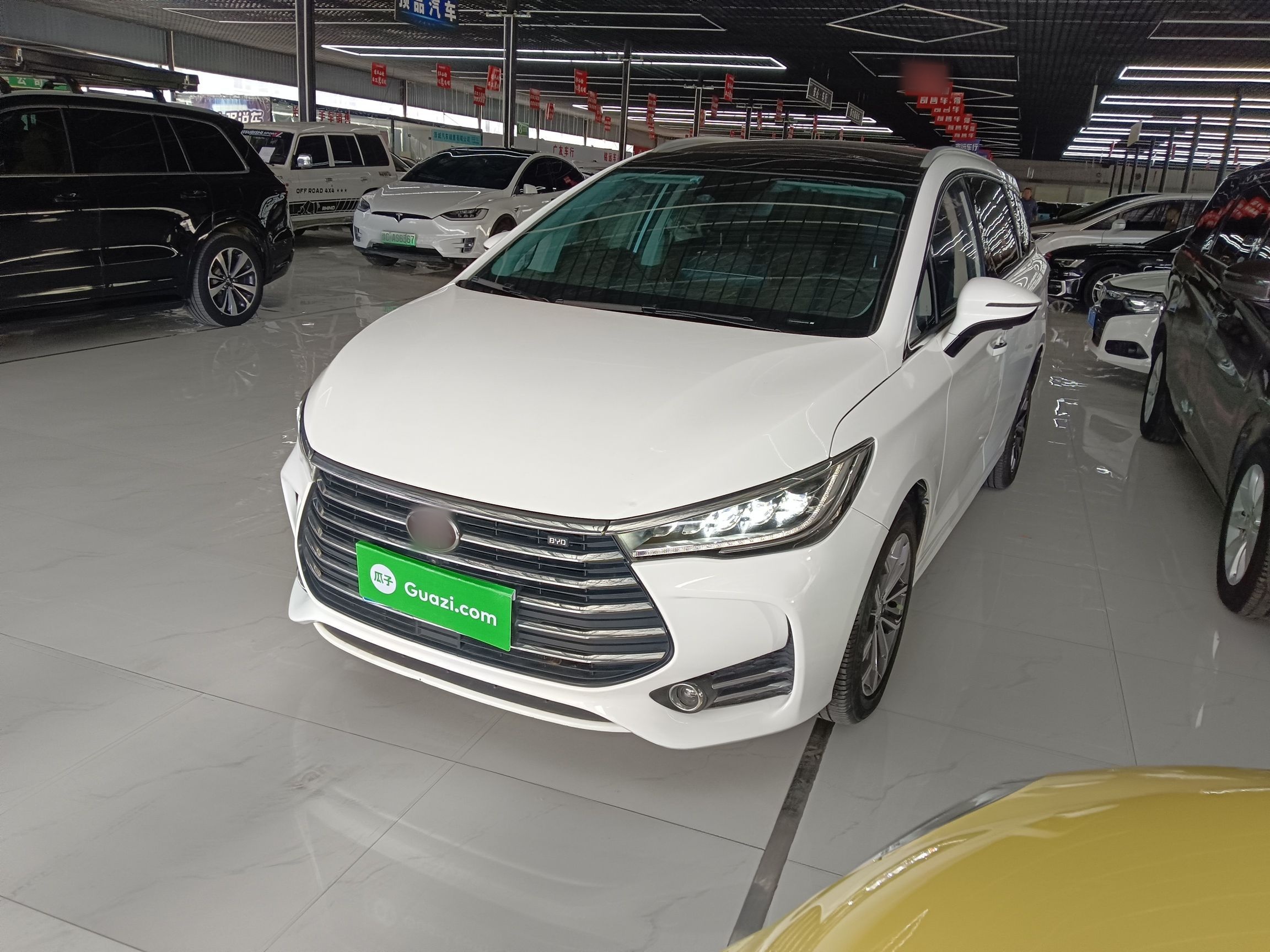 Parte inferior delantera