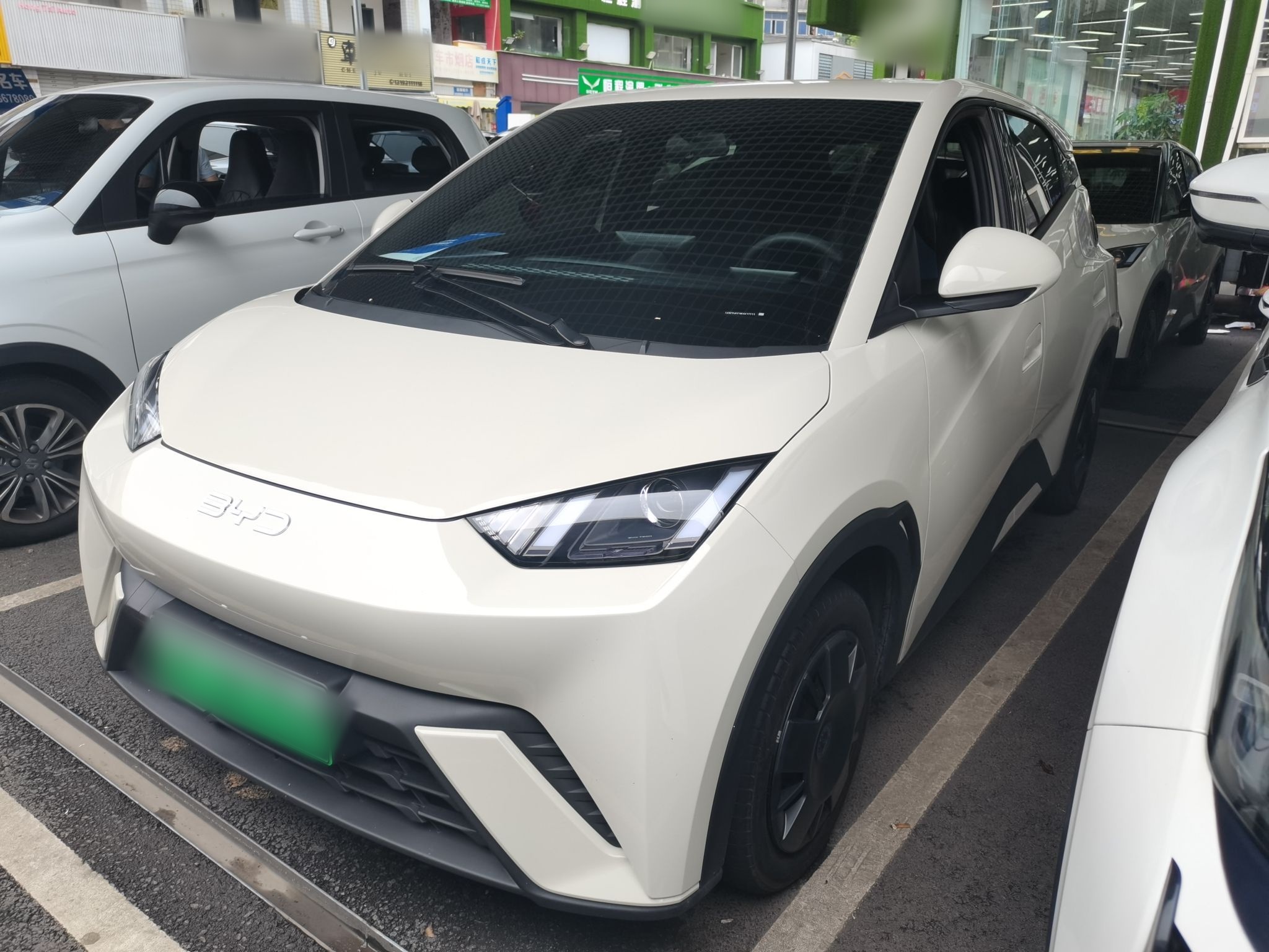 Parte inferior delantera