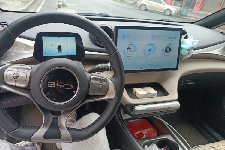 Used BYD Dolphin 2025 420km Free Edition
