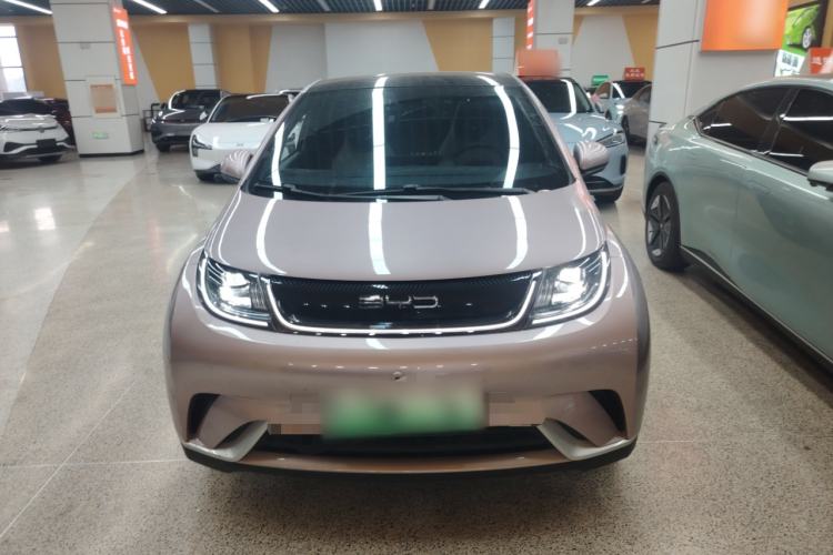 Used BYD Dolphin 2021 405 km Fashion Edition Front