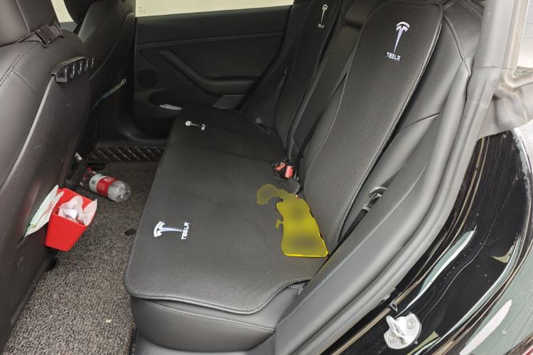 Used Tesla Model 3 2022 Rear-Wheel-Drive Version Left Rear Seat