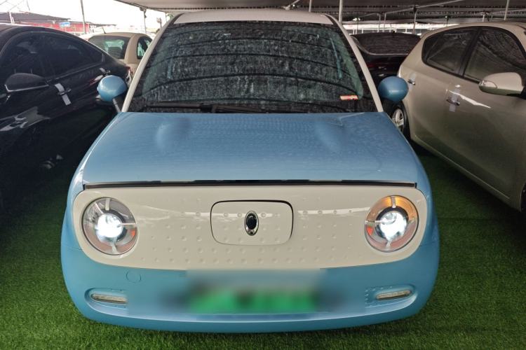 Used ORA Black Cat 2019 351 km Family Edition