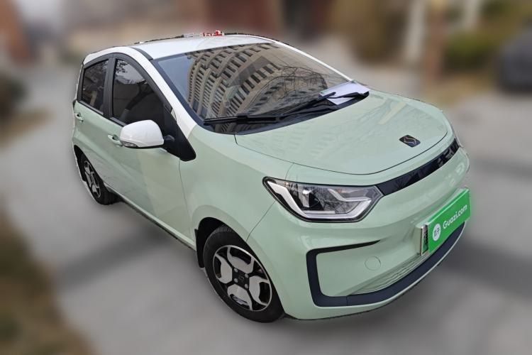 Used SOL E10X 2022 Flower Fairy Style Baby's Breath
