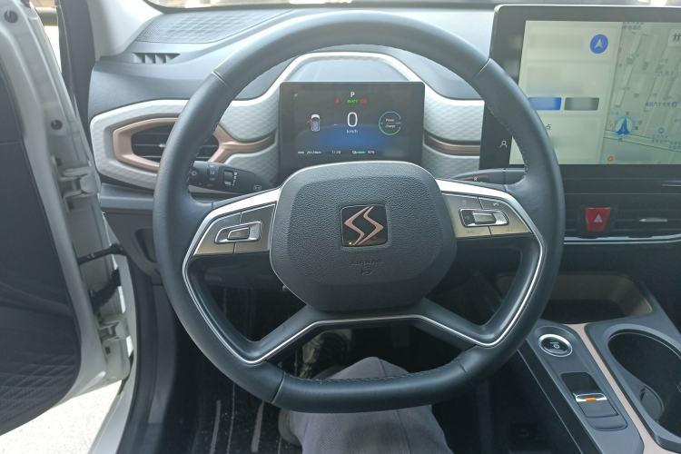 Used SOL E10X 2022 Flower Fairy Style Baby's Breath
