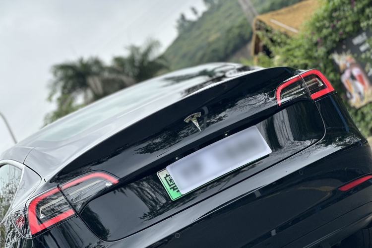 Used Tesla Model 3 2019 Long-Range Rear-Wheel-Drive Version Exterior 7