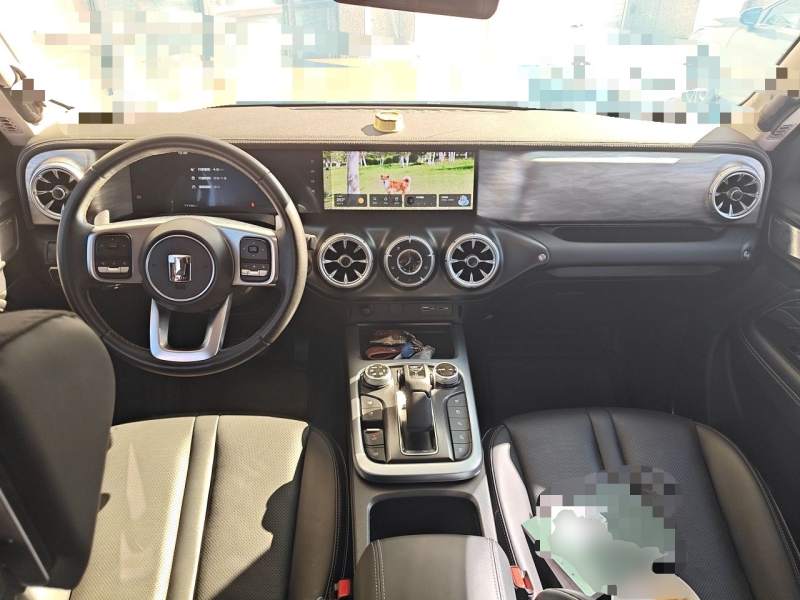 Used Tank 300 2021 City Edition 2.0T—Truly Stylish — 10
