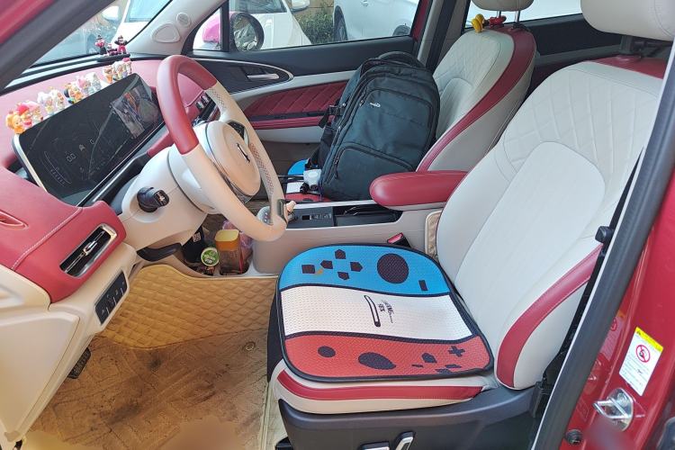 Used ORA Good Cat 2021 400km Standard Range Athena Edition Lithium-Ion Battery