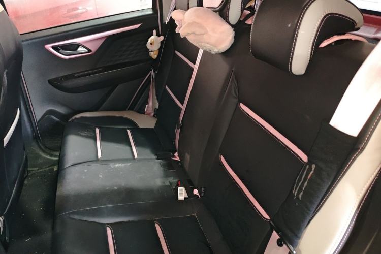 Used SOL E10X 2022 Flower Fairy Style Baby's Breath