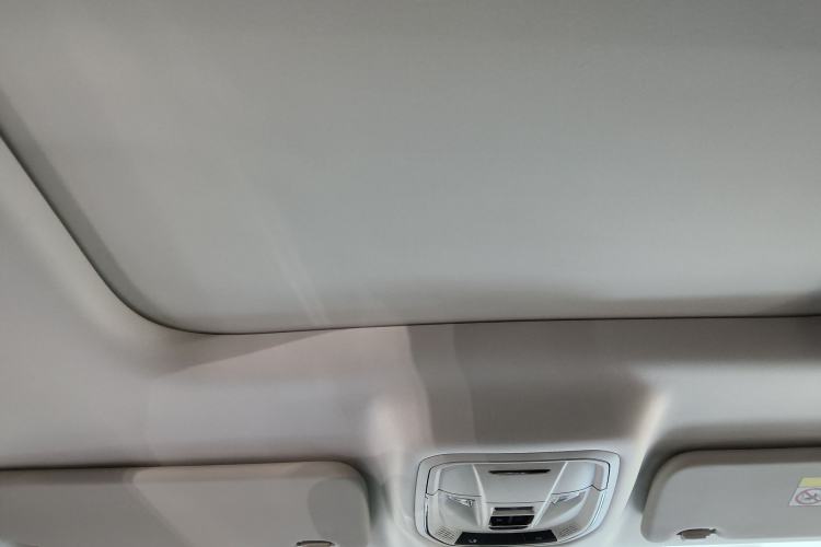 Used Haval Raptor New Energy 2024 Hi4 145 Cross-Over Edition Headliner