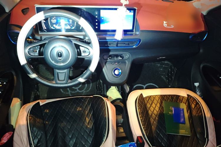 Used ORA White Cat 2020 305 km Luxury Version
