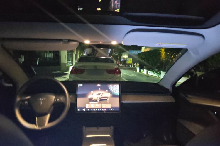 Used Tesla Model 3 2022 Rear-Wheel-Drive Version