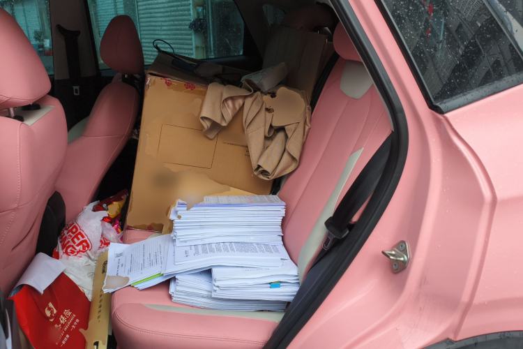 Used NETA V 2021 Witch Edition