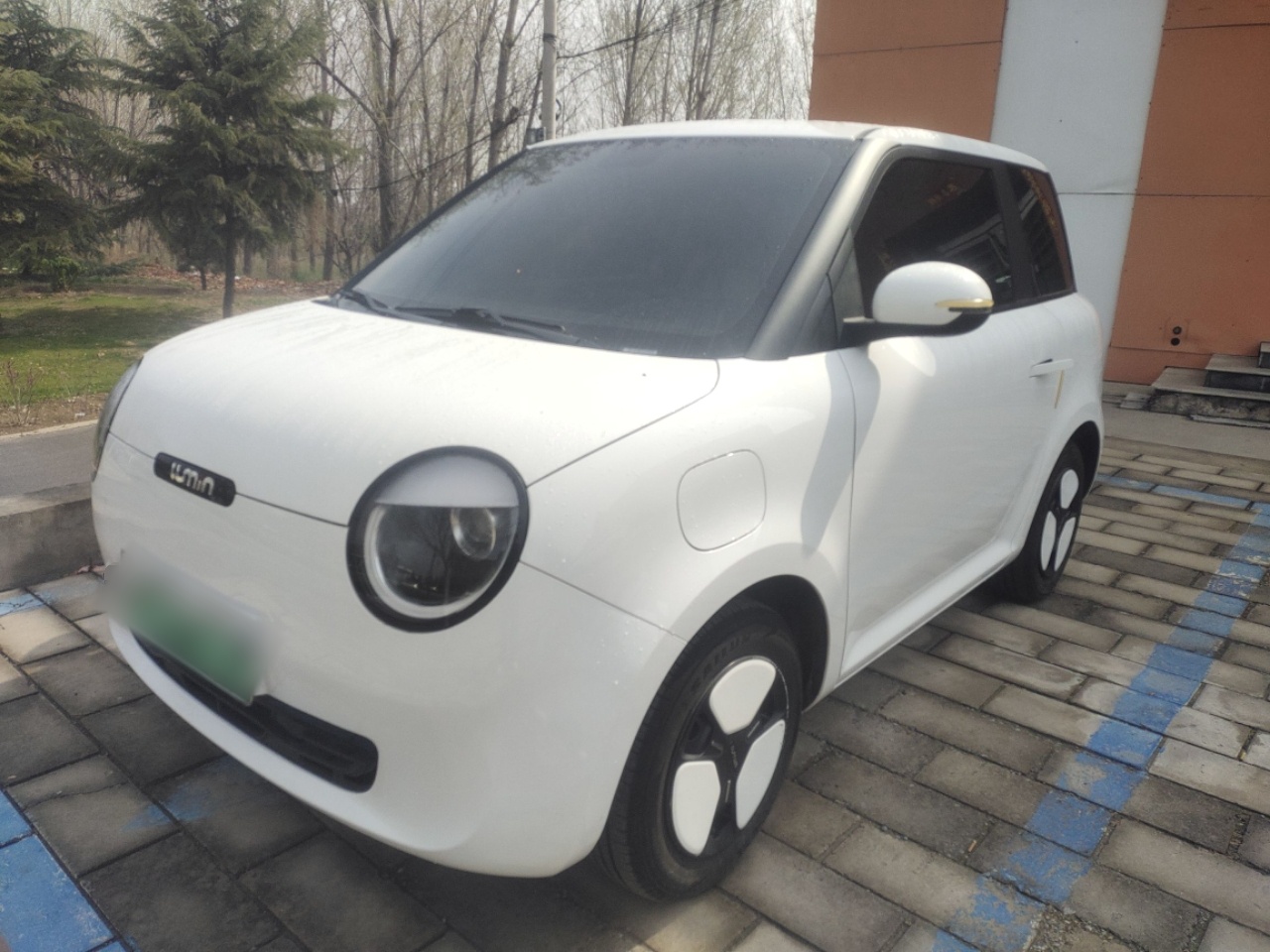 Parte inferior delantera