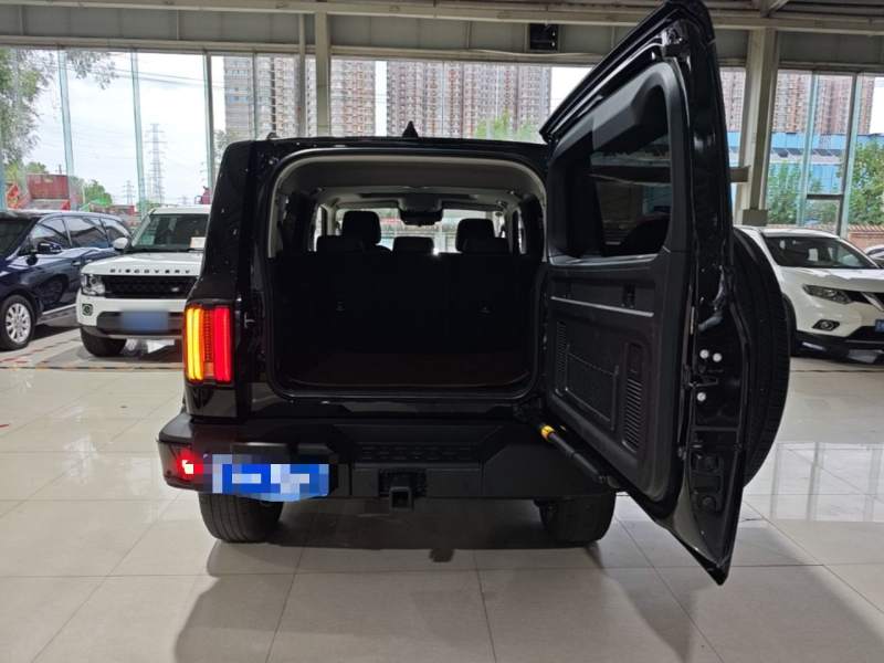 Used Tank 300 2024 2.0T Conqueror — 18