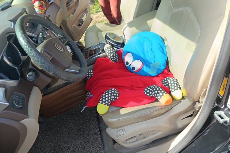 Used Cadillac SRX 2012 3.0L Elite Edition Left Front Seat