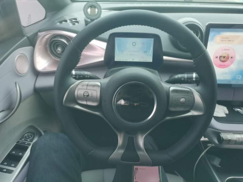 Used BYD Dolphin 2021 401km Knight Edition — 10